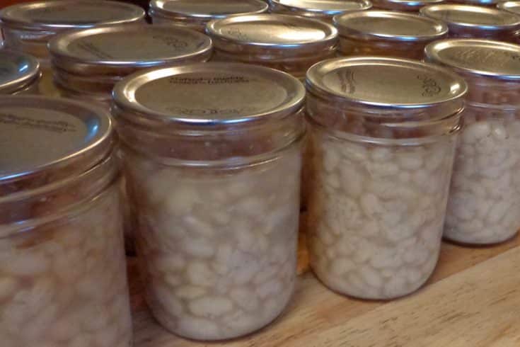 jars of home canned navy beans