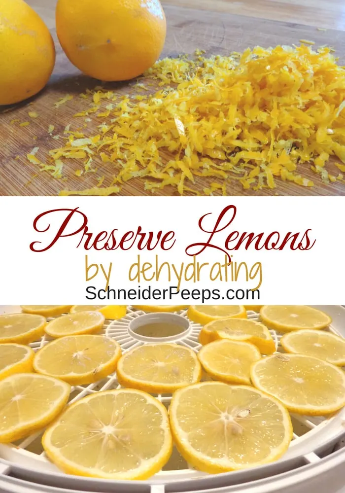 Image of dried lemon slices and lemon zest