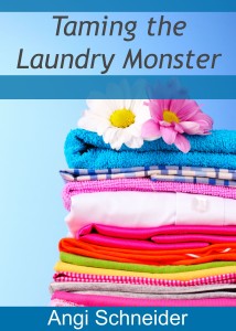 Taming The Laundry Monster -large