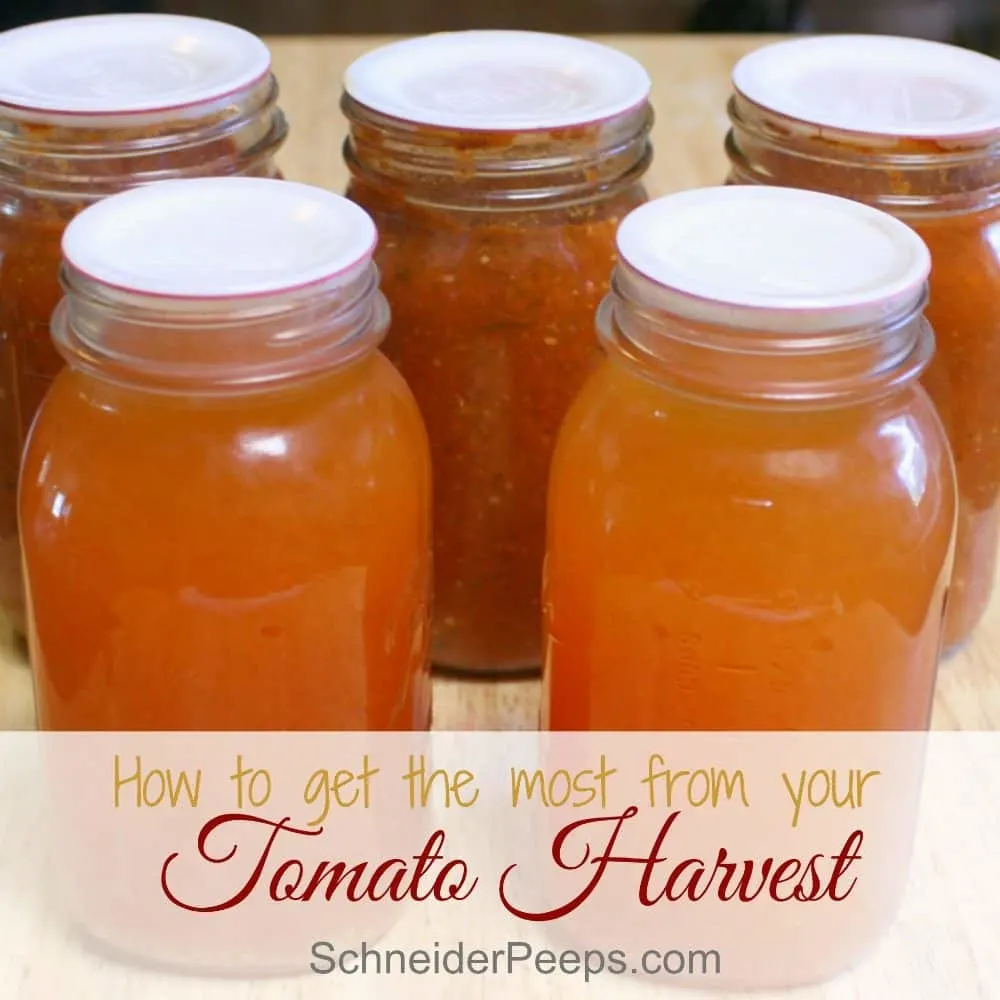 Preserving tomatoes is like preserving summer! Learn how to get the most out of your tomato harvest by using up every bit of the tomato, including the extra juice and peels.