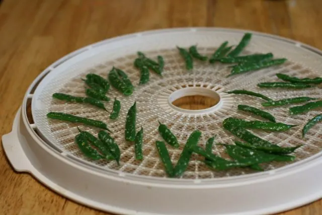 Preserving green beans doesn't have to be hard or boring. Learn how to can, freeze, ferment and dehydrate green beans to enjoy now and later. 