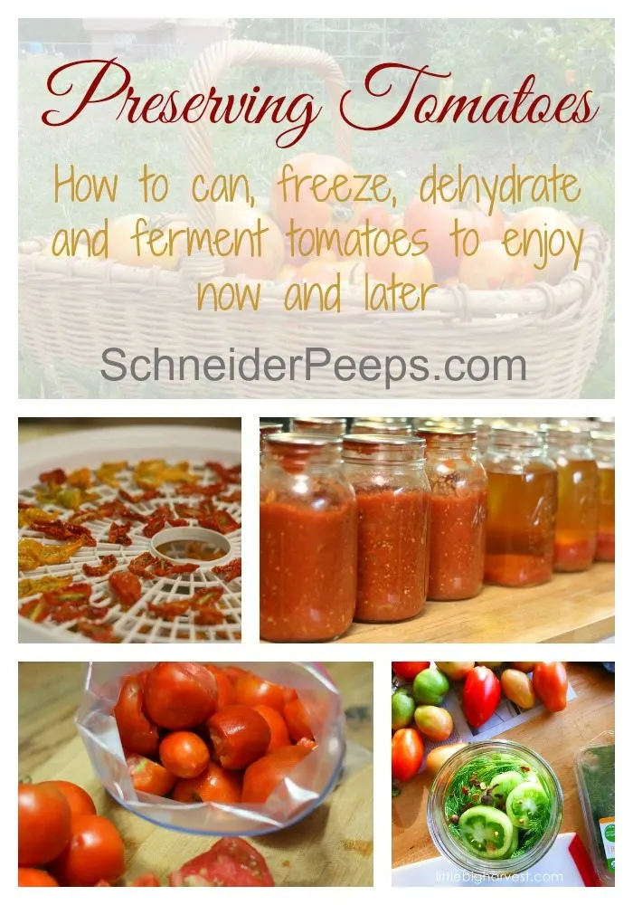 There is so much you can do with your tomato harvest. Learn how to can, freeze, dehydrate and ferment tomatoes for now and later. 