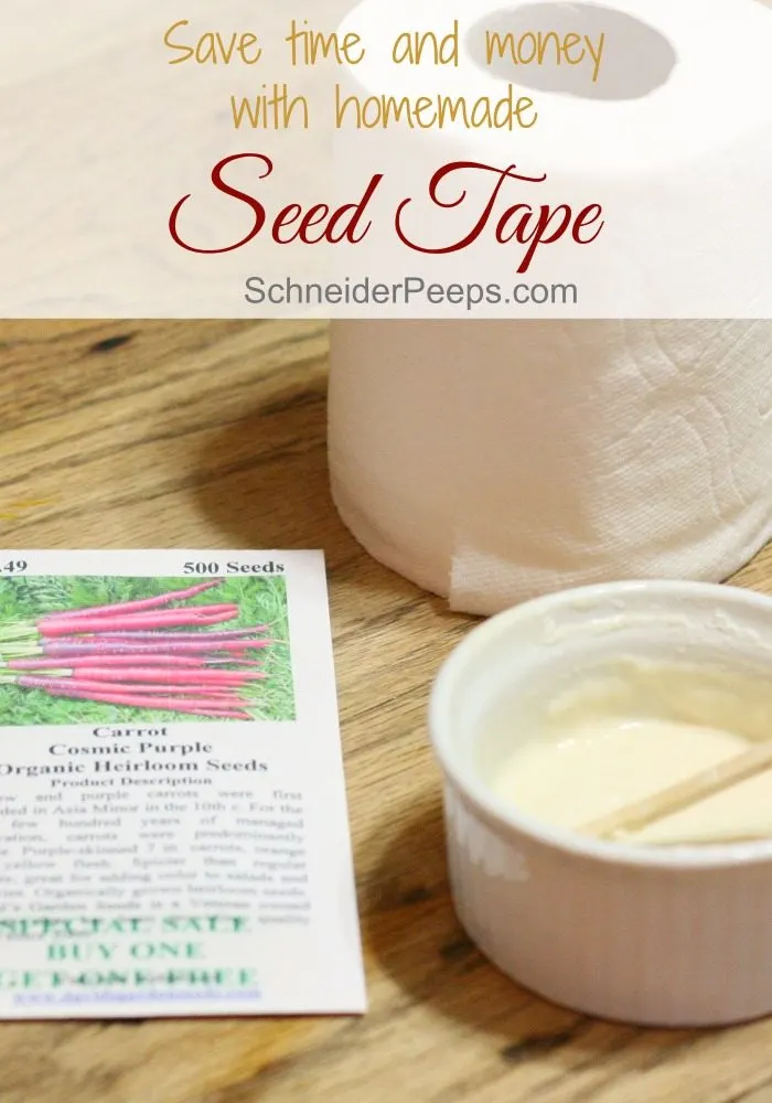 Instead of scattering seeds and thinning later, make homemade seed tapes to space small seeds. This will save you time and money in the garden. 