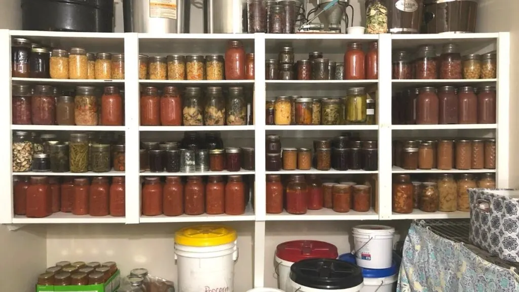 view of canning storage room