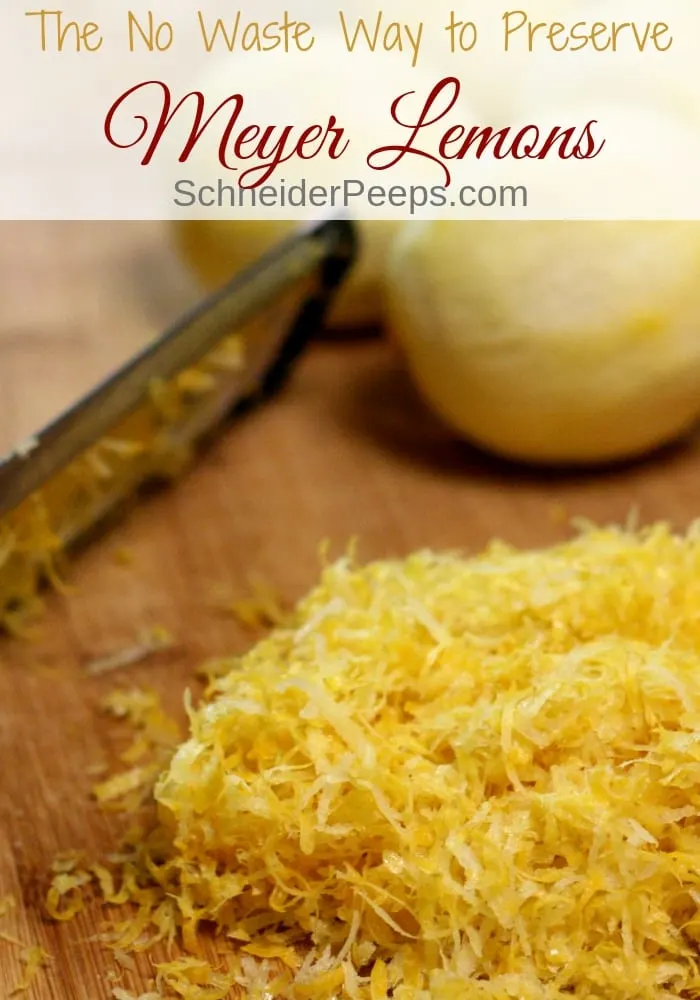 Homemade Dried Lemons - an easy way to preserve lemons - SchneiderPeeps