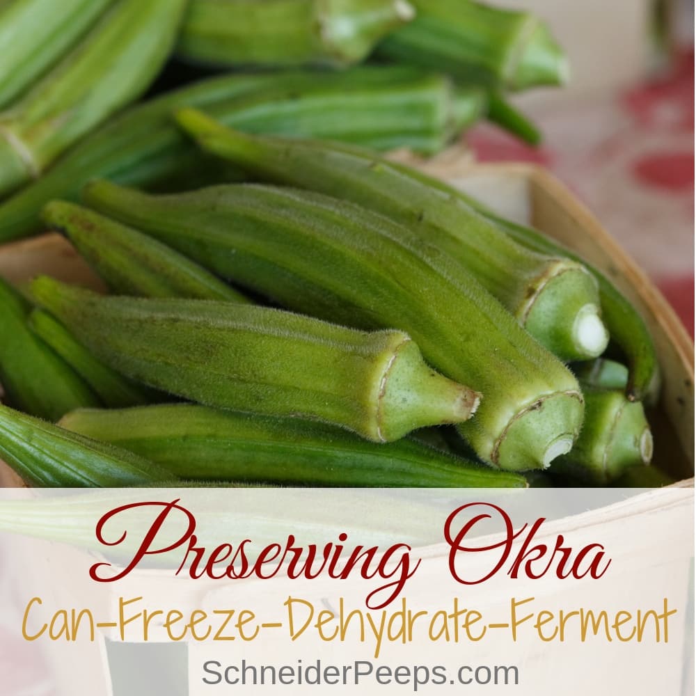 Fresh okra doesn't store well but can enjoy it all year by preserving okra. Learn how to freeze, can, dehydrate, and ferement okra to use throught the year.
