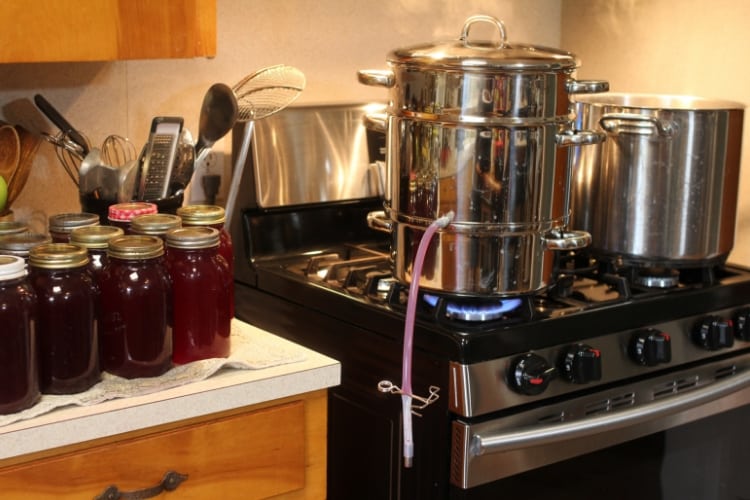 image of grapes in steam juicer