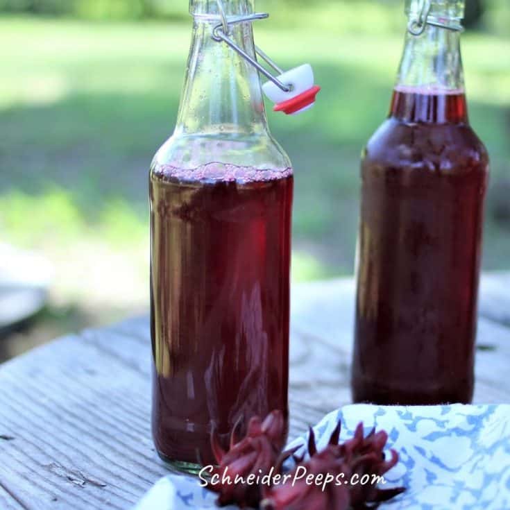 Simple Hibiscus Syrup